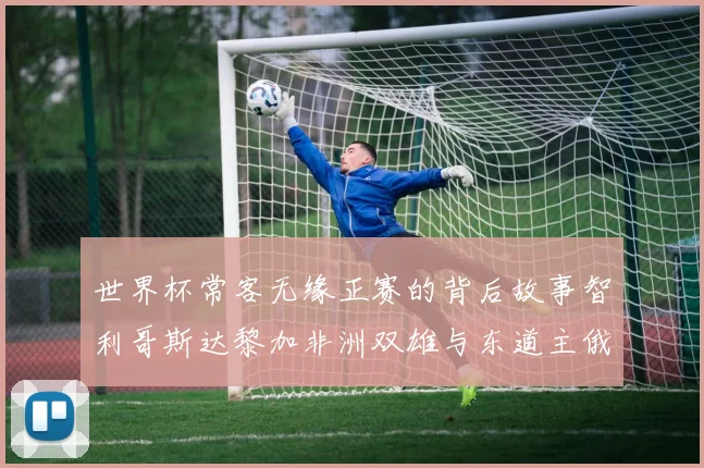 世界杯常客无缘正赛的背后故事智利哥斯达黎加非洲双雄与东道主俄罗斯的遗憾