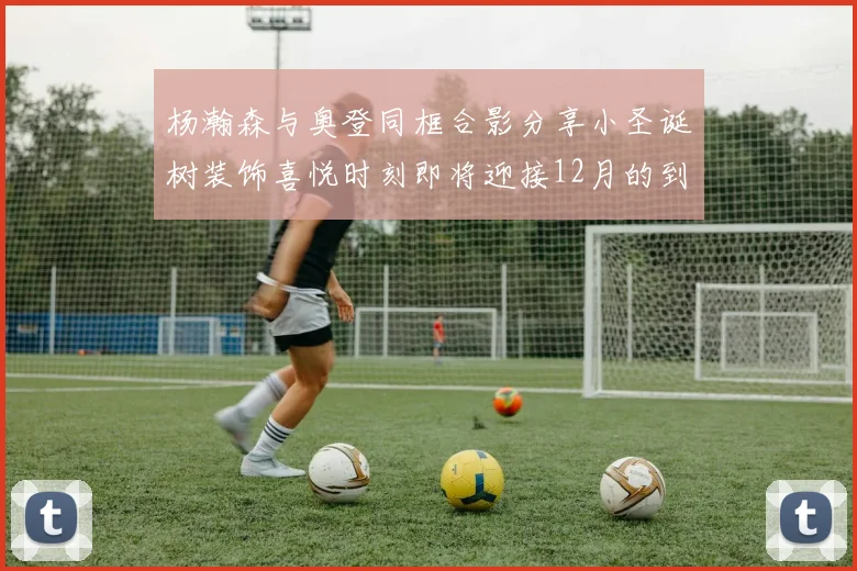 杨瀚森与奥登同框合影分享小圣诞树装饰喜悦时刻即将迎接12月的到来